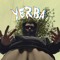 Yerba