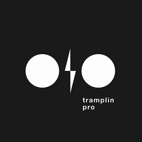 TRAMPLIN.PRO’s avatar