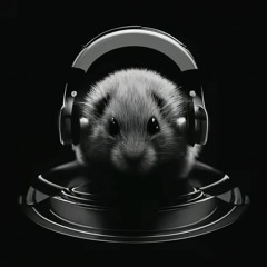 HamsterDnB
