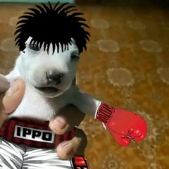 Cool Boy