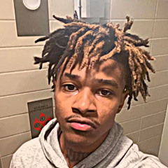 TrellyVirgo