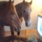 marllixy