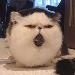 just_drop_tear_away&