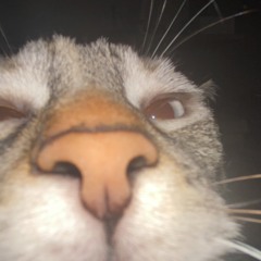 lili