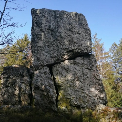 Der Esel Und Der Fuchs