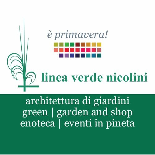 Linea Verde Nicolini’s avatar