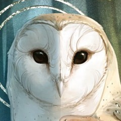Wonder_Bird_The_Owl
