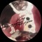 5starone_star