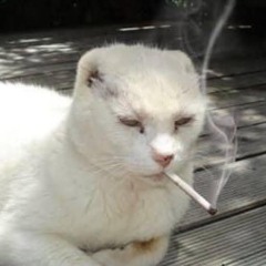 whycandisplaynamesbe50characterslongnooneneedsthat