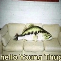 hello young thug