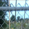 fencex