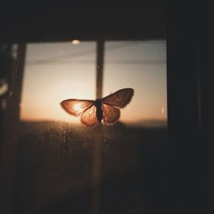 Shahad