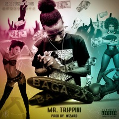 Mr.Trippini