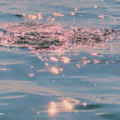 shine ˚* ੈ✩