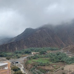 النقبي