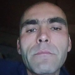 Паша Ведмедь