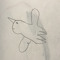 limace