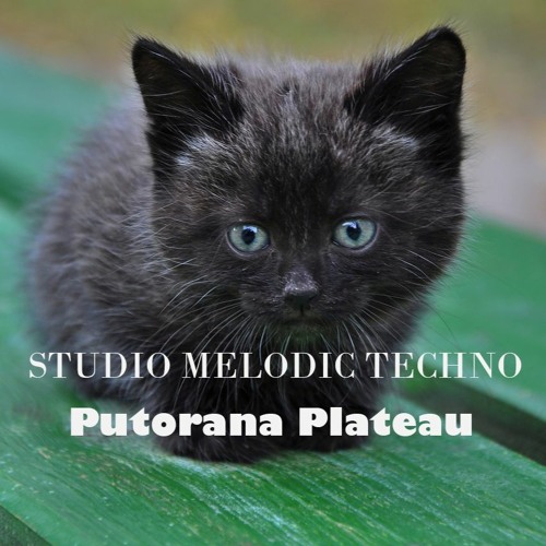 Putorana Plateau 136’s avatar