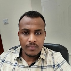Alharth Mohamed Alharth