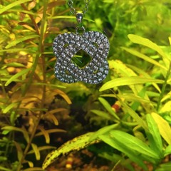 Hallo 34512 67 89 Moin