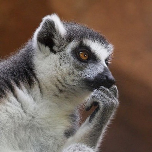 Creepy, Unsettling, Foreboding, Horror Piano