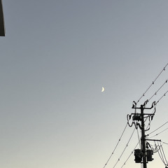 introversion☺︎