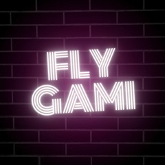 fly_gami
