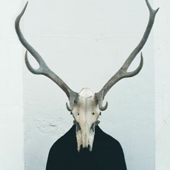 In The Reptile House