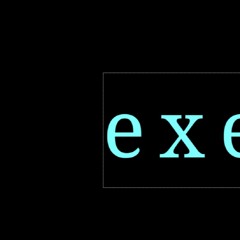 e x e