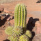 Ana_wyatt04