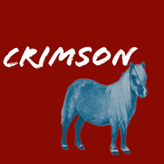 Crimson Pony