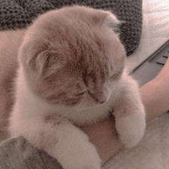 sweetie.me