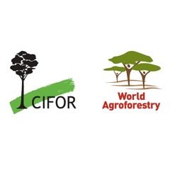 CIFOR-ICRAF