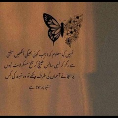 Zainab Qureshi