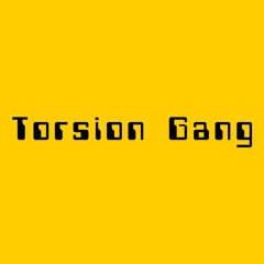 Torsion Gang