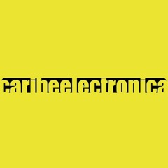 caribeelectronica