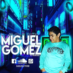 Miguel Gmz