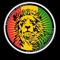 SISTA REGGAE EN CONEXION 🇲🇽💚💛❤️