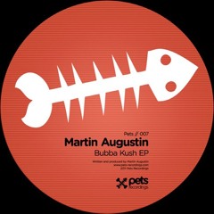 Martin Augustin