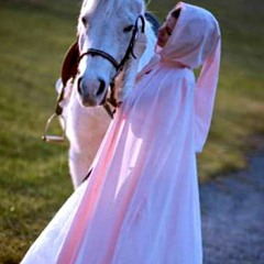 Die  Weise Schleiereule