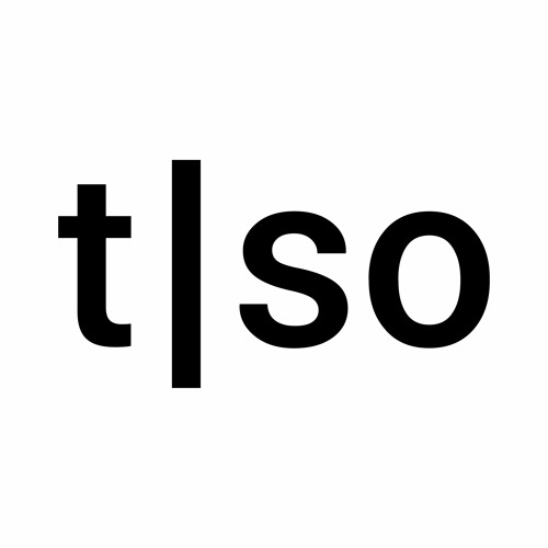 torso electronics’s avatar