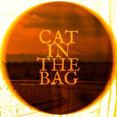 Cat In The Bag