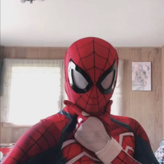 hawaiian spider