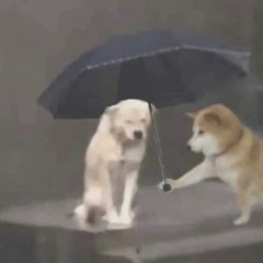uu