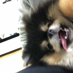 연수