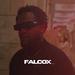 DJ FalcoX