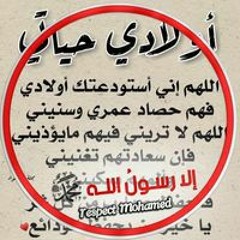 Saida Gamal