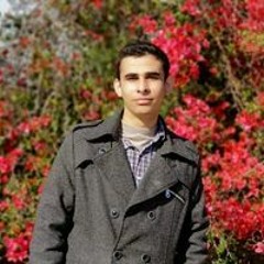 طارق المقادمة