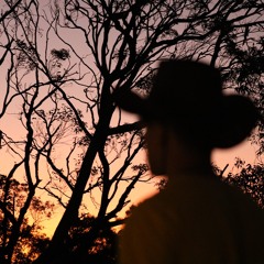 Mammalian Driving Reflex