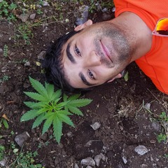 Владимир